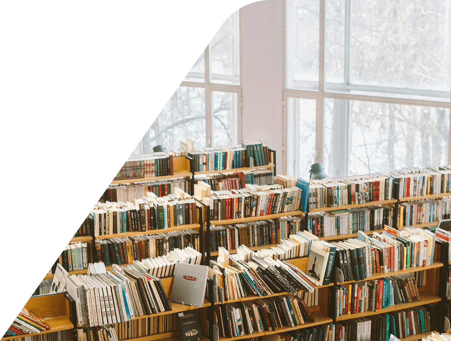 MXA Consulting case studies