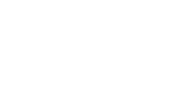 Fortius Consulting