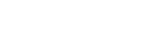 Project Services International
