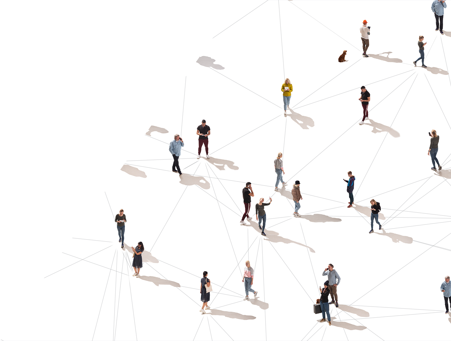 Financial services consulting