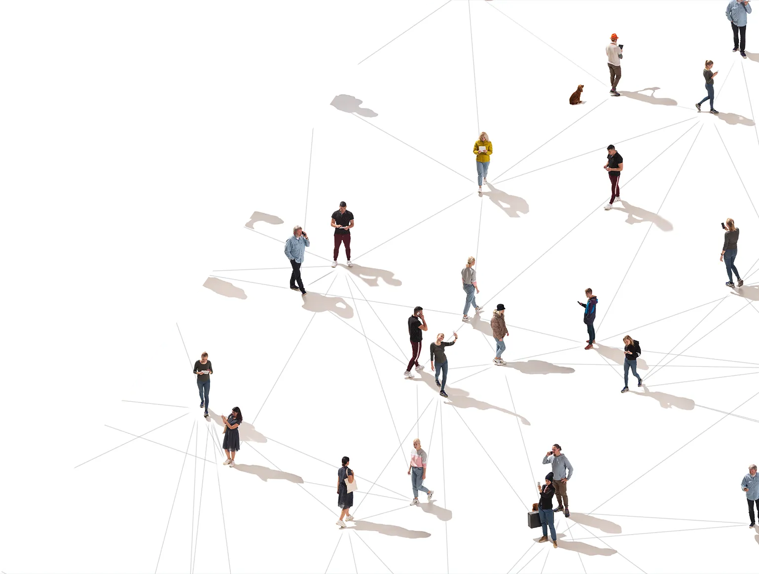 Government consulting and advisory