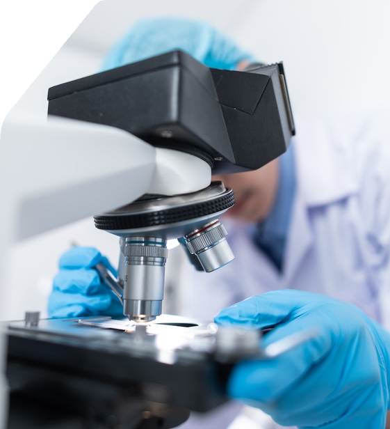 12 Reasons Why Projects Fail