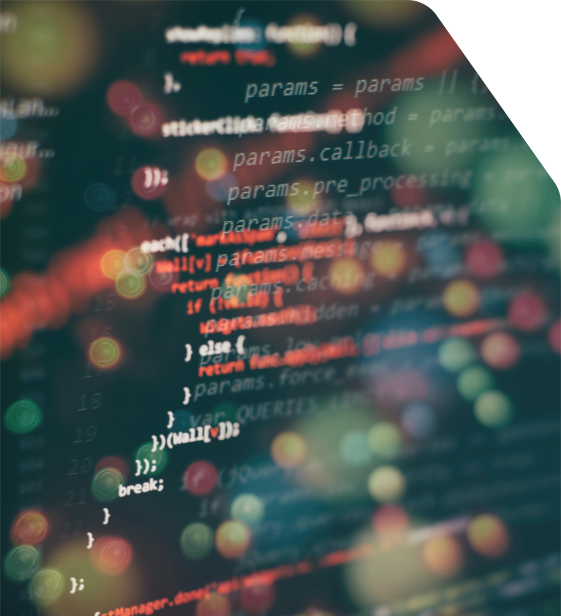 Technology risk assessment and code review