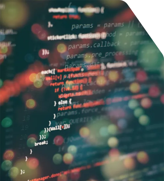 Technology risk assessment and code review